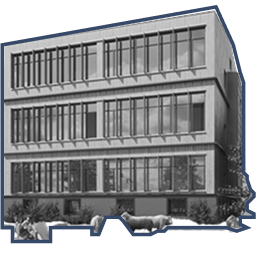 Université Paris 8